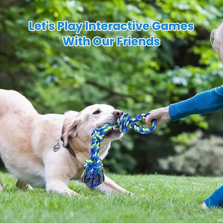 Heavy Rope Toy