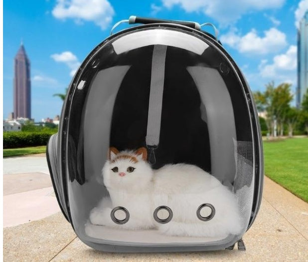 Space Bubble