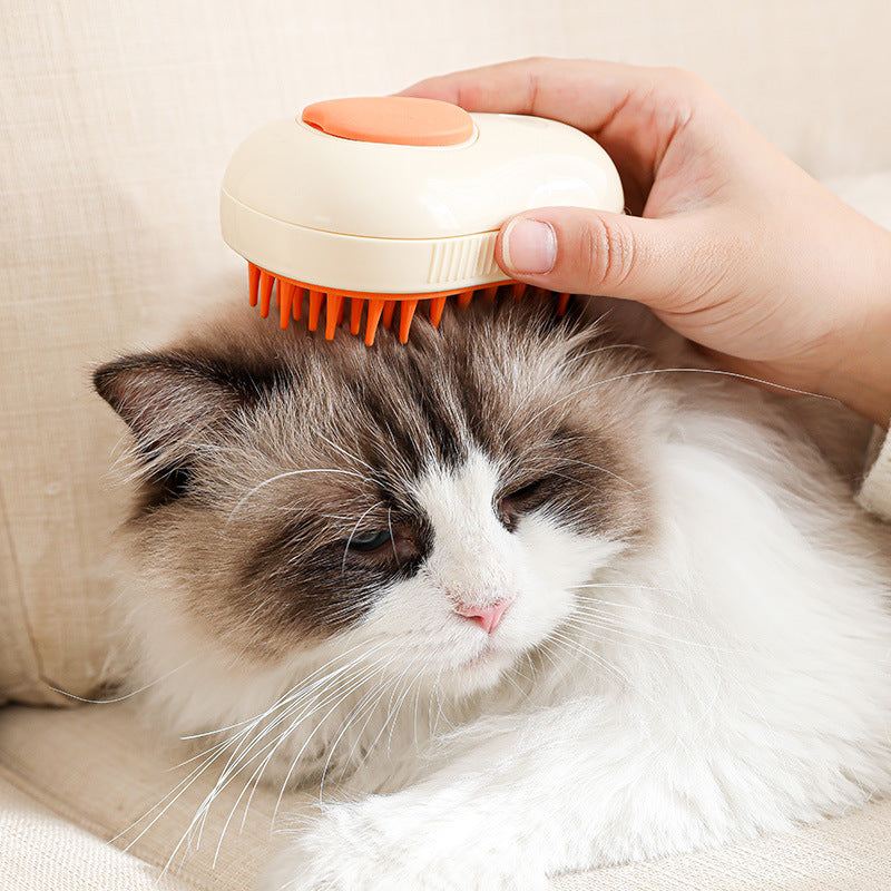 Steam Cleaning Hair Brush