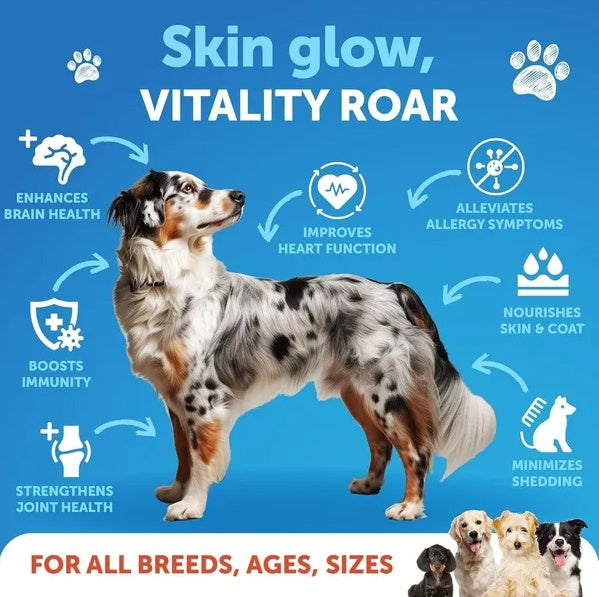 Skin and Fur Coat for Dogs