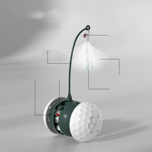Electric Bird Ball