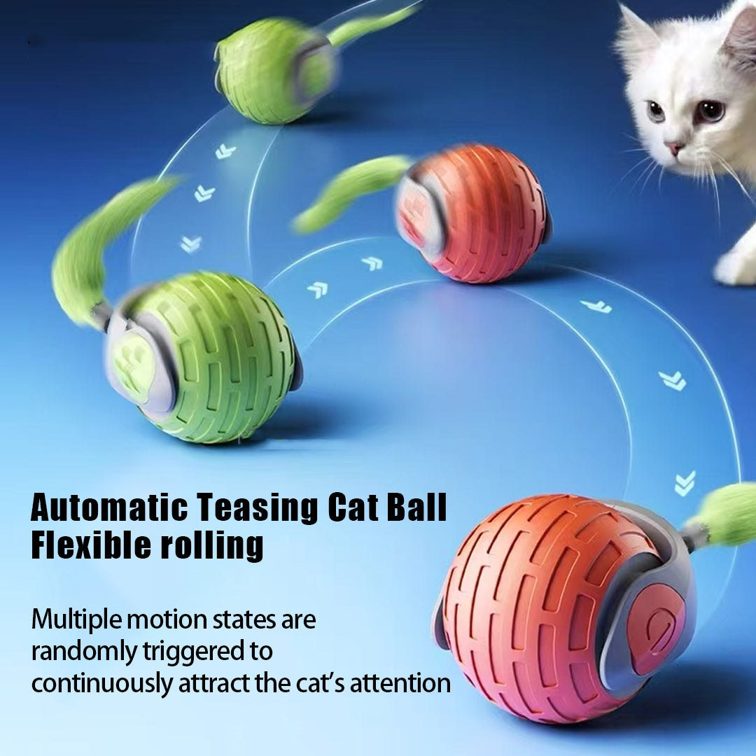 E-Ball for Cat/Dog