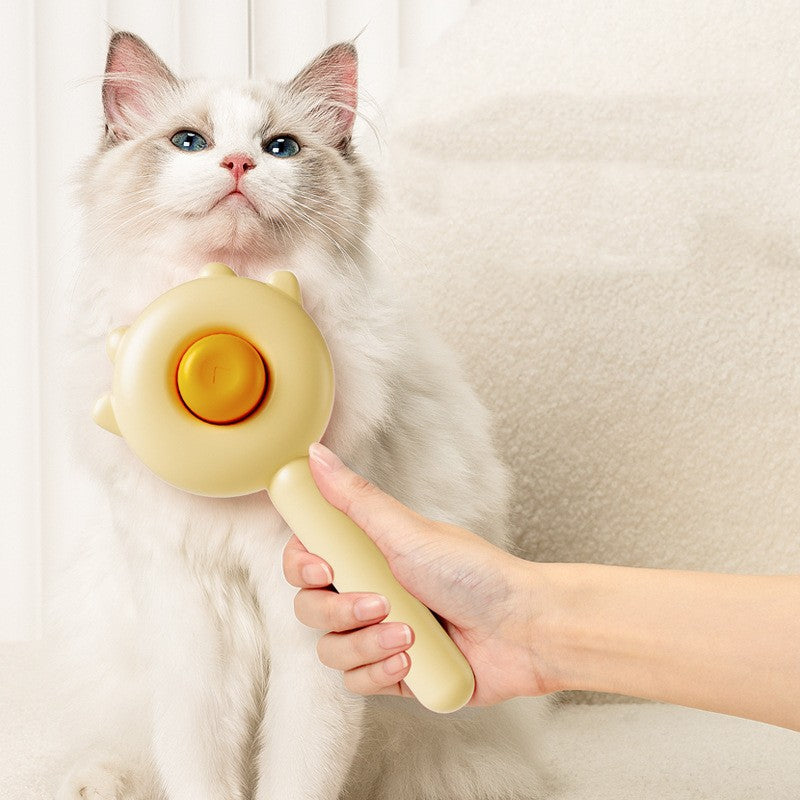 Magic Cat Brush