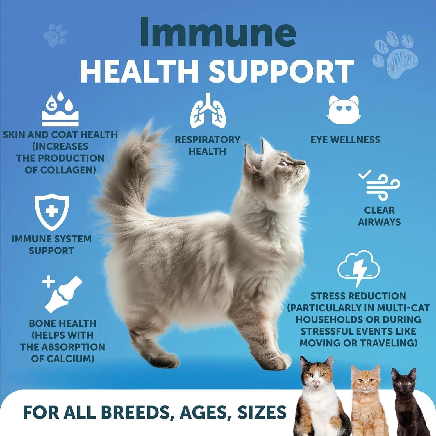 Immune Booster for Cats Lysine