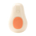 Steam Cleaning Hair Brush