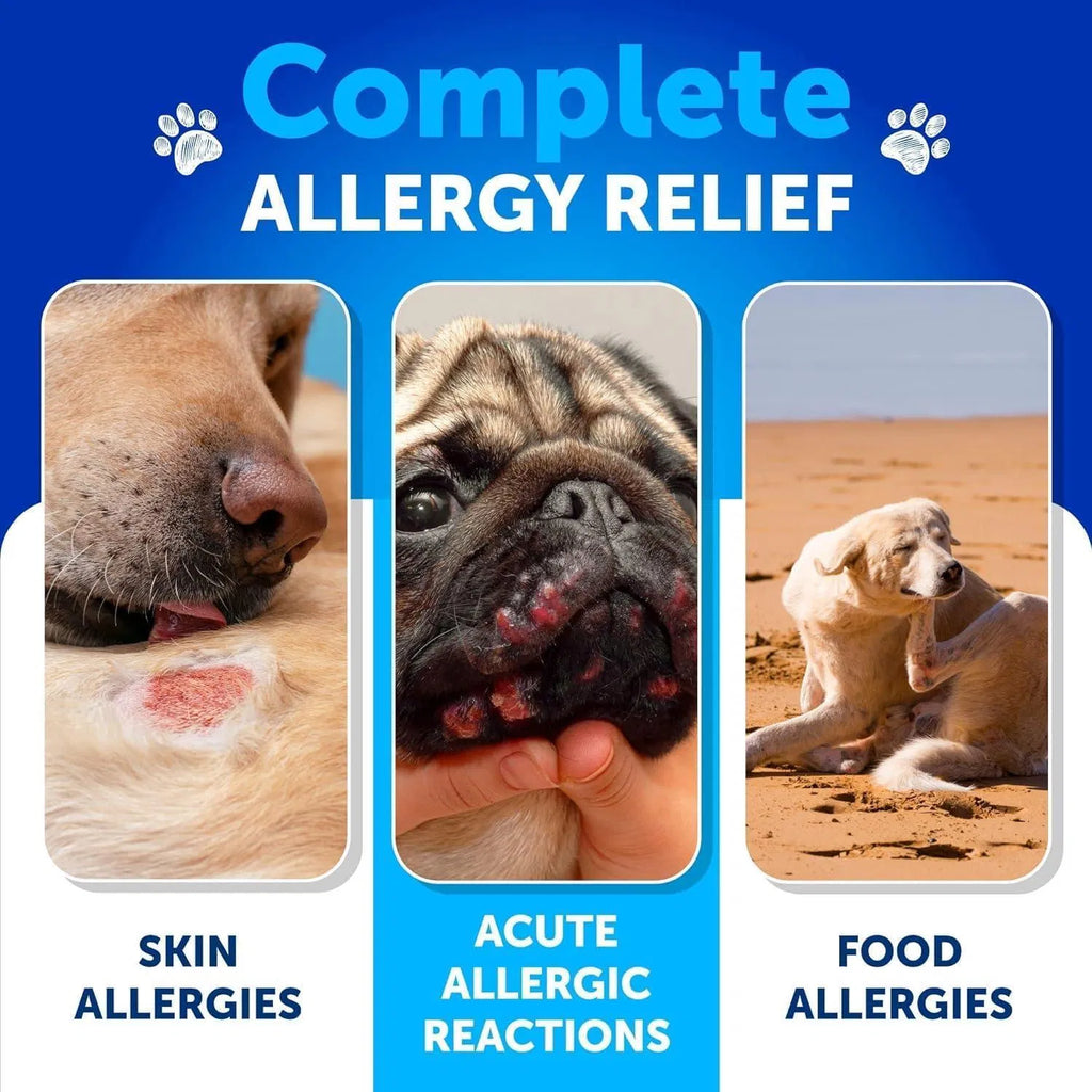 Dog Allergy Relief