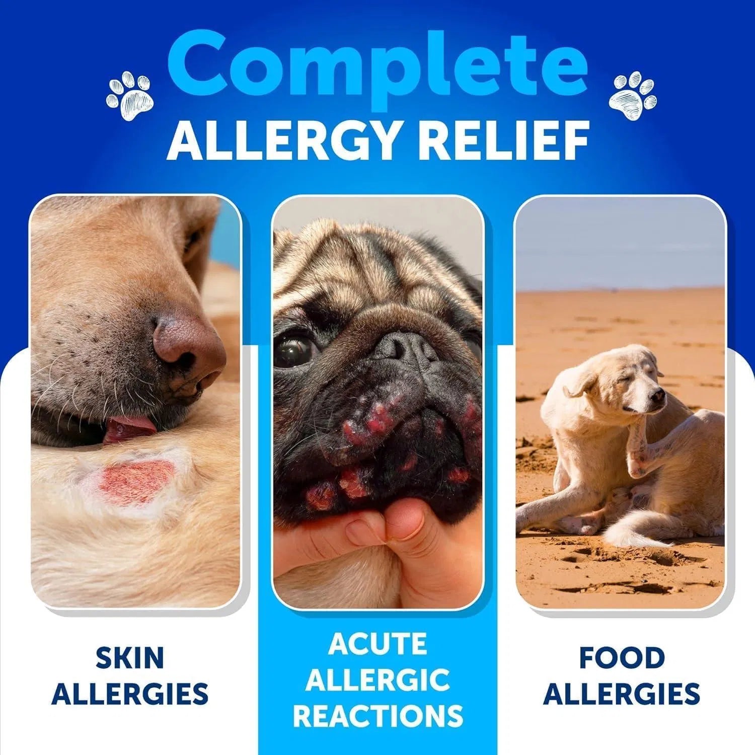 Dog Allergy Relief